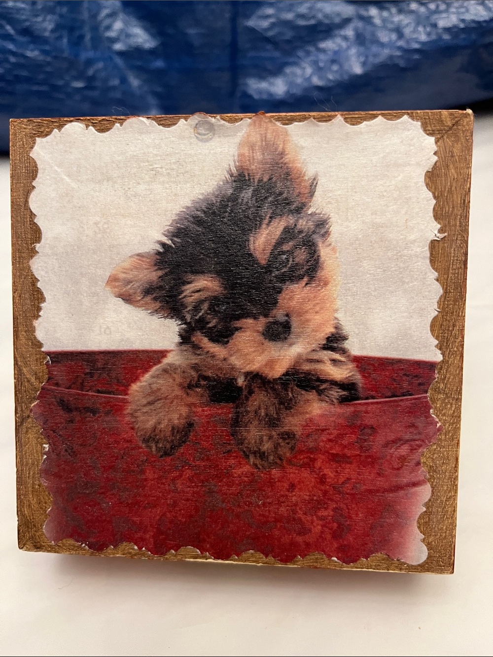 Wooden Keepsake Box with Puppy Decoupage - Brown, Red, White